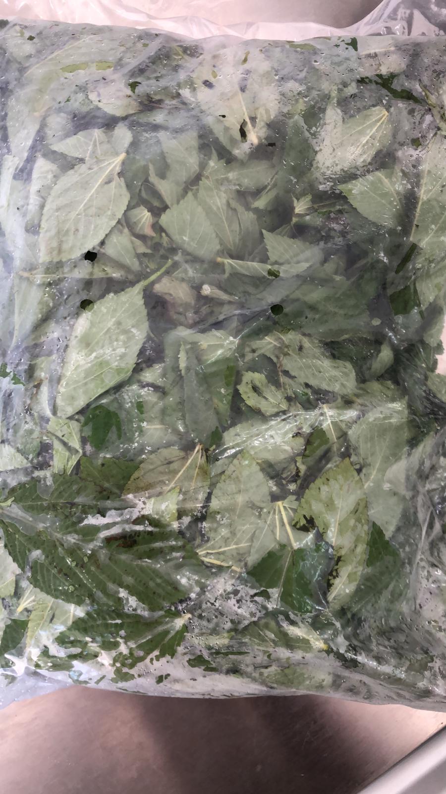 WhatsApp Image 2020-07-29 at 11.16.49 AM (1).jpeg.jpeg